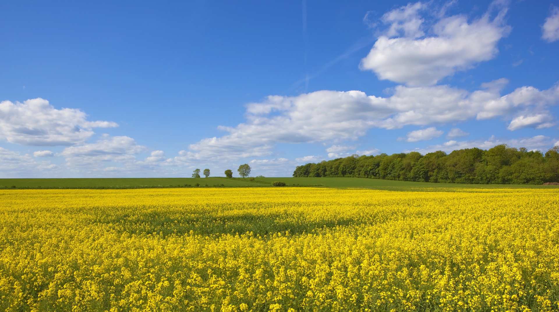 Yorkshire Wolds Way